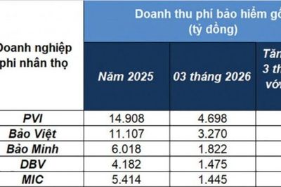 Doanh nghiệp bảo hiểm phi nhân thọ 'nóng' cuộc đua cạnh tranh thị phần
