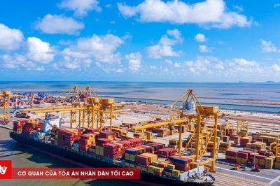 Hai cảng biển Việt Nam lọt top 20 toàn cầu về hiệu suất