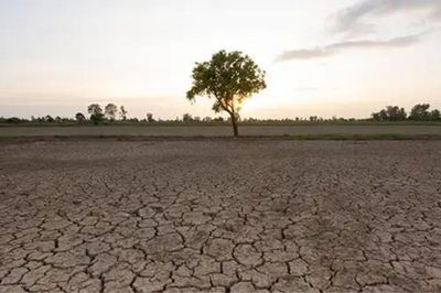 Năm 2026: El Nino mạnh, lượng mưa có thể thiếu hụt