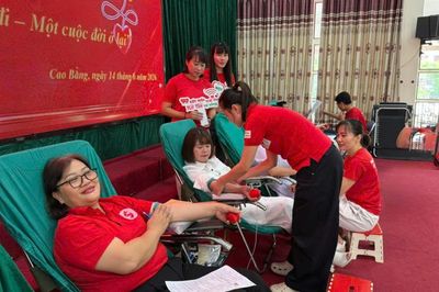Chương trình hưởng ứng Ngày Quốc tế Người hiến máu 14/6: Tiếp nhận 126 đơn vị máu