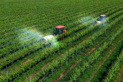 Bộ Nông nghiệp và Môi trường bãi bỏ 149 văn bản, thay thế 240 văn bản