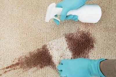 Sai một bước khi vệ sinh thảm, bạn có thể đang 'nuôi' vi khuẩn trong nhà