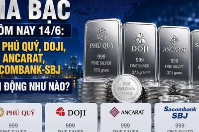 Giá bạc hôm nay 14/6: Bạc Phú Quý, Doji, Ancarat, Sacombank-SBJ biến động như nào?