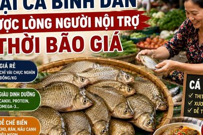 Loại cá bình dân được lòng người nội trợ thời bão giá