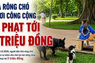 Thả rông chó ở nơi công cộng bị phạt tới 2 triệu đồng