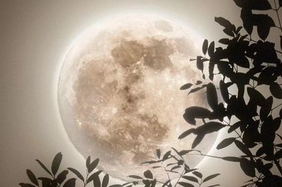 Trăng Non Song Tử ngày 15/6: Vũ trụ gửi bạn một 'trang giấy trắng' để viết ra điều ước