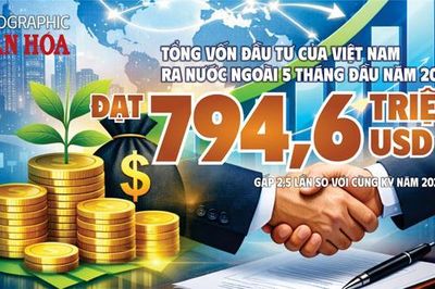 Việt Nam đầu tư ra nước ngoài 5 tháng đầu năm 2026 đạt 794,6 triệu USD, tăng gấp 2,5 lần