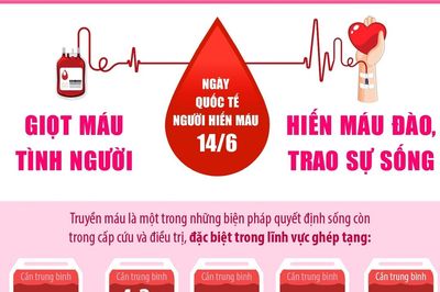32 năm hành trình Giọt máu tình người và sức sống của một nét đẹp văn hóa