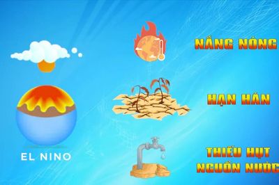 [Video] Việt Nam đối mặt với nguy cơ nắng nóng và hạn hán khốc liệt do El Nino