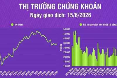 [Infographic] Thị trường ngày 15/6: VN-Index tăng 7,66 điểm phiên đầu tuần
