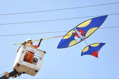 Đừng để cánh diều thành hiểm họa!