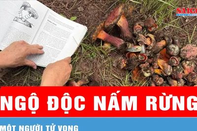 Lâm Đồng: Một người tử vong do ngộ độc nấm rừng