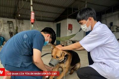 Thanh Hóa triển khai 'Năm cao điểm' tiêm vắc xin phòng bệnh Dại