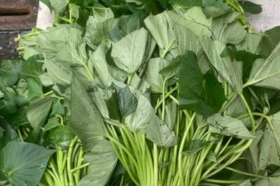 Bác sĩ chỉ cách ăn rau lang tăng mạnh hàm lượng dinh dưỡng