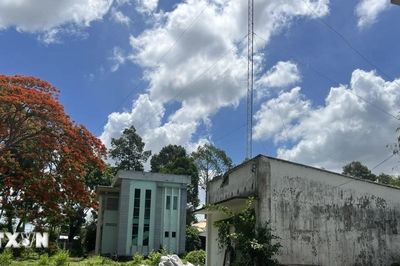 Đồng Tháp: Tai nạn lao động khiến một người tử vong, một người bị thương