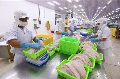 Cần Thơ đặt mục tiêu có thêm khoảng 300 doanh nghiệp thành lập mới/năm