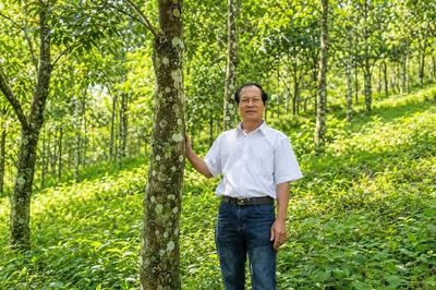 Người bền bỉ giữ rừng ở Liêng Srônh, làm nên hương trầm OCOP