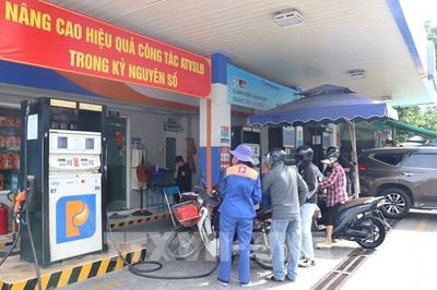 Hầu hết xe xăng tương thích E10, mở rộng dư địa nhiên liệu sinh học