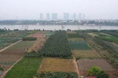 Hà Nội mở cơ chế khai thác đất bãi sông phục vụ nông nghiệp sinh thái