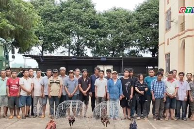 Gia Lai: Đột kích sới gà quy mô lớn, bắt giữ 31 đối tượng