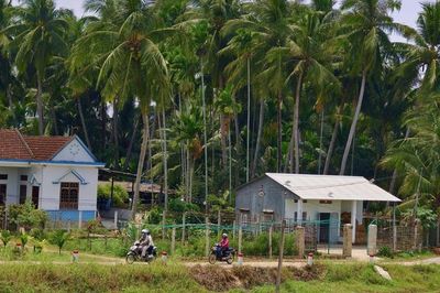 Mở lối du lịch dưới tán dừa xanh