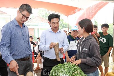 Khánh Hòa phấn đấu mỗi năm phát triển ít nhất 100 sản phẩm OCOP