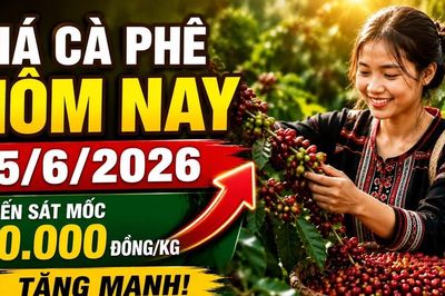 Giá cà phê hôm nay 15/6: Tiếp tục tăng trong ngày đầu tuần?
