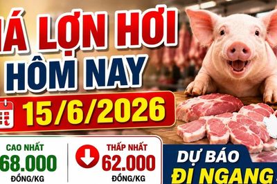 Giá lợn hơi hôm nay 15/6: Miền Bắc tiếp tục dẫn đầu?