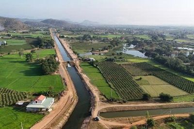 'Vỡ trận'… nhiễm mặn