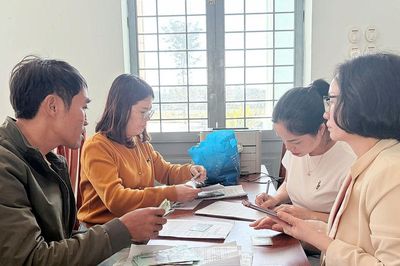 Lâm Đồng thanh toán hơn 114 tỷ đồng tiền dịch vụ môi trường rừng