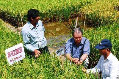 Người gieo chữ trên ruộng đồng