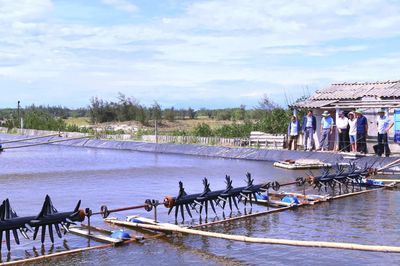 'Đánh thức' vùng cát