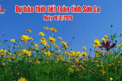 Dự báo thời tiết toàn tỉnh Sơn La ngày 16/6/2026