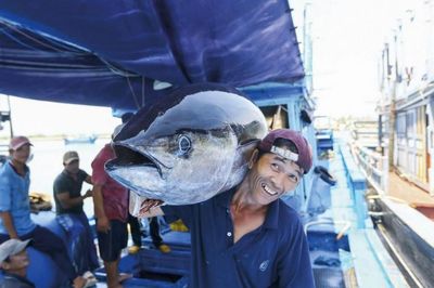 Nông sản trong nước biến động mạnh theo từng mặt hàng