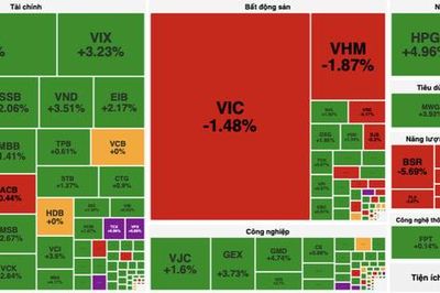 Dòng tiền sôi động, VN-Index tăng gần 8 điểm