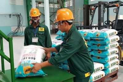 Phân bón Bình Điền (BFC): Lợi nhuận quý đầu năm tăng 28%, gánh hơn 1.300 tỷ đồng dư nợ vay