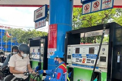 Hầu hết xe xăng tại Việt Nam tương thích với xăng E10