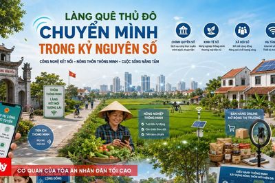 Làng quê Thủ đô chuyển mình trong kỷ nguyên số