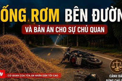 Đống rơm bên đường và bản án cho sự chủ quan