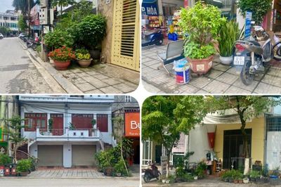 Người dân để chậu hoa, cây cảnh lấn chiếm vỉa hè