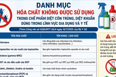 Xử lý nghiêm vi phạm về hóa chất, chế phẩm diệt côn trùng, diệt khuẩn