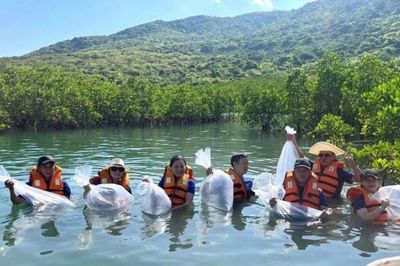 Hơn 200 tình nguyện viên cùng nhau thả 11.500 sinh vật biển cho vịnh biển Nha Trang