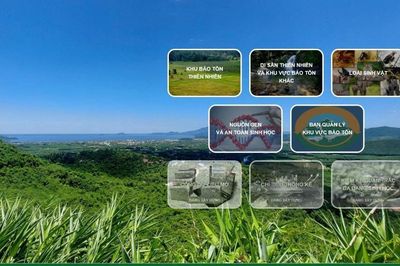 Môi trường xanh vật lý - Cái gốc cho cuộc sống hài hòa với thiên nhiên