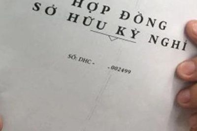 Hợp đồng kỳ nghỉ và những tổn thương không thể khỏa lấp của người già