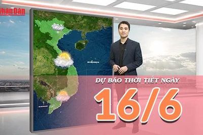 [Video] Dự báo thời tiết ngày 16/6/2026: Mưa lớn tại trung du và miền núi Bắc Bộ, Trung Bộ nắng giảm cường độ