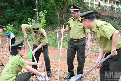 Trồng mới 1,5 triệu cây xanh giai đoạn 2026-2030 hưởng ứng Ngày Thế giới chống sa mạc hóa và hạn hán