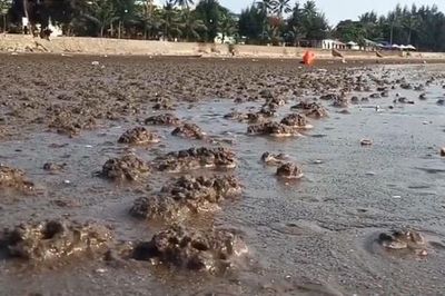 Người đàn ông bị sét đánh tử vong ở bãi biển Đồ Sơn
