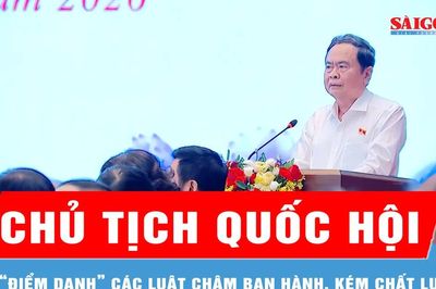 Chủ tịch Quốc hội 'điểm danh' các luật chậm ban hành, kém chất lượng