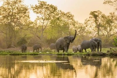 Điều kỳ diệu ở 'Vương quốc hoang dã cuối cùng' của Tây Phi