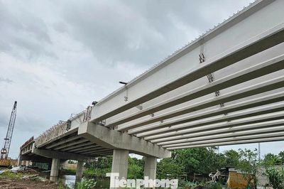 Đồng Tháp lập 3 Ban quản lý dự án chuyên ngành